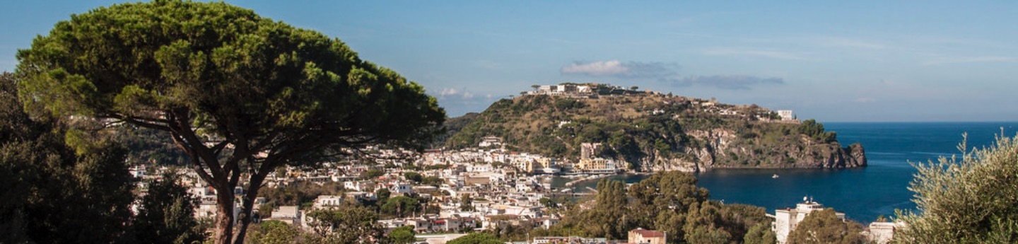 Ischia panoramic sea view