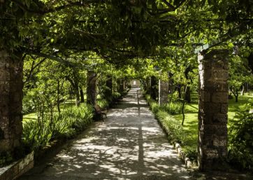 Amazing garden in Sorrento