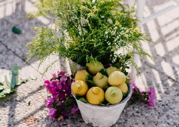 Wedding ceremomy decor details in Capri