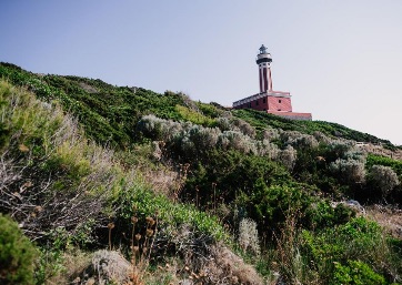 Amazing Lighthouse in Capri