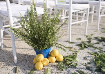 Wedding ceremony details in Capri