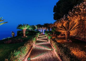 Spectacular garden by night