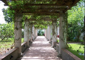 Beautiful gardens in Ischia