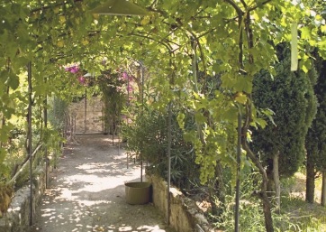 Lovely garden in Ischia