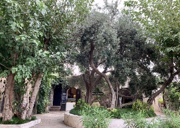 Lovely garden at the castle